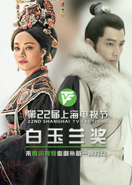 婆妈女婿海报剧照