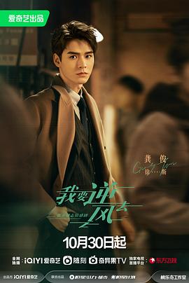 美国个字海报剧照